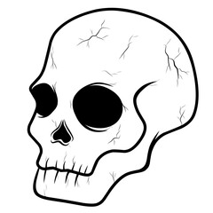 skull on black
