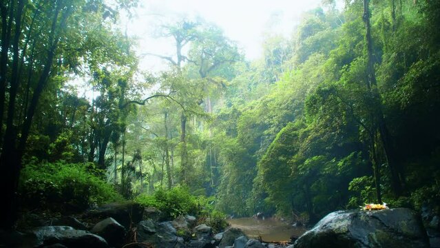 Stones lying in the river with a water flowing along the stones from a mountain river with fain forest.