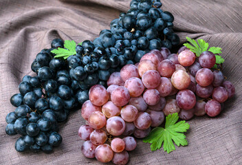Large clusters of pink and black grapes on a napkin.