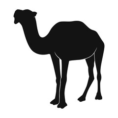 Black Camel Illustration, Animal cartoon, isolated on white background