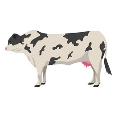 Cow vector illustration, isolated on white background