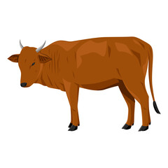 Cow in brown color, vector illustration