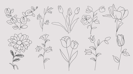 Flower Line Art