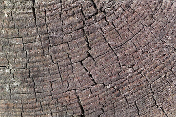 Struktura ciemnego starego drewna z bliska.