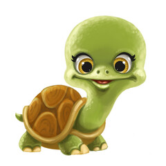 Cute cartoon little turtle isolated on a white background