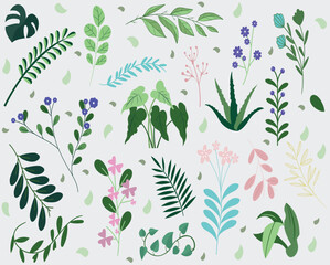 Naklejka na ściany i meble Plants, flowers, leaves collection illustration