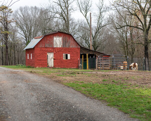 Rock and wood red barn on a goat farm