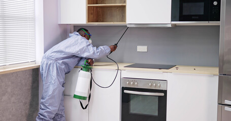Man Showing At Pest Control Worker Spraying Insecticide On Shelf