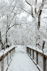Martin Nature Park after a Winter Storm
