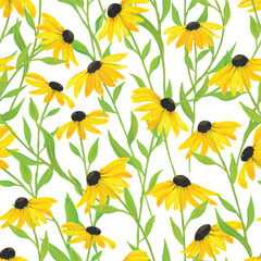 Vector illustration. Hand painted watercolor black-eyed Susan flower seamless repeat pattern. Best for packaging, home décor, bedding and wallpaper.