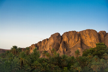 Fototapeta na wymiar Amazing evening light to the rock and palm trees under it