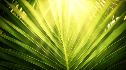 Obraz premium Background from palm green leaves. Tropical wallpaper. AI generated.