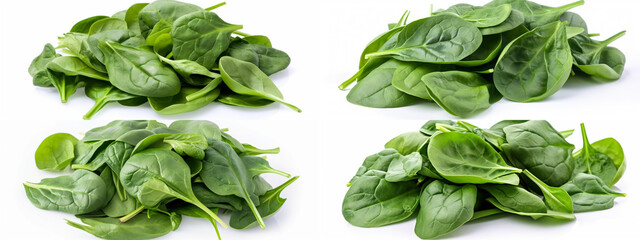 spinach, food, green, isolated, fresh, vegetable, leaf, spinach, leaves, white, bg, background, healthy, herb, organic, salad, plant, ingredient, raw, diet, spice, nutrition, closeup, nature, cooking,