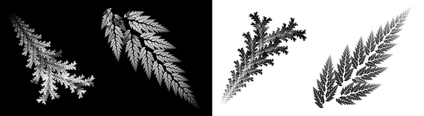 Monochrome twigs of abstract coniferous and deciduous trees on white and black backgrounds. Set of branches with leaves. 3D rendering. 3D illustration.