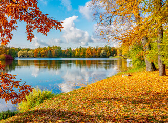 Autumn foliage in Catherine park, Pushkin (Tsarskoe Selo), Saint Petersburg, Russia