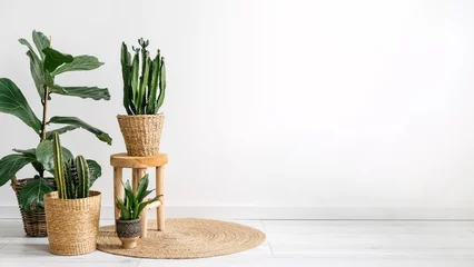Fototapete Boho-Stil houseplants on rattan rug in stylish apartment