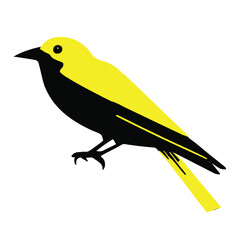 illustration of a bird