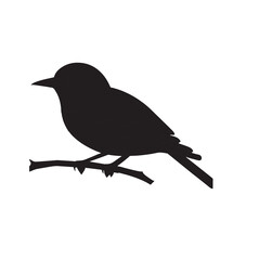 bird on a branch
