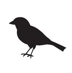 silhouette of a crow