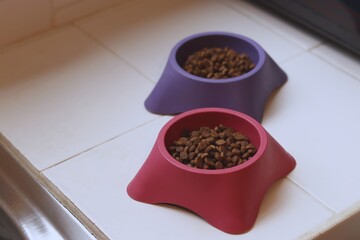 Dry Cat Food in colorful bowls