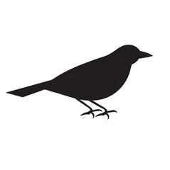 silhouette of a bird
