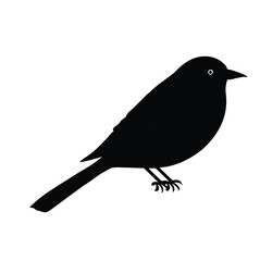 crow on a branch