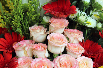 Red, Yellow and Pink Rose. Abstract Rose Background. Different colors of Rose. Beautiful Roses. Different color of roses.