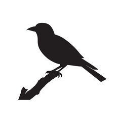 bird on a branch