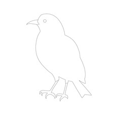 bird on a branch