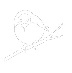 bird on branch