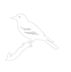 sketch of a bird