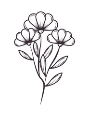 flowers and leaves nature botanical