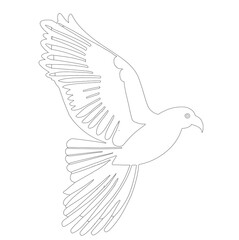 dove of peace