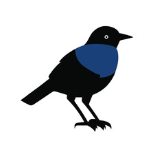 bird on a branch