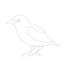 illustration of a dove