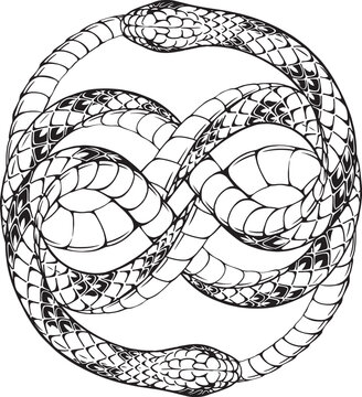 Stylized double knot Ouroboros. Antient symbol of snake biting it's tail. Line art, sketch style