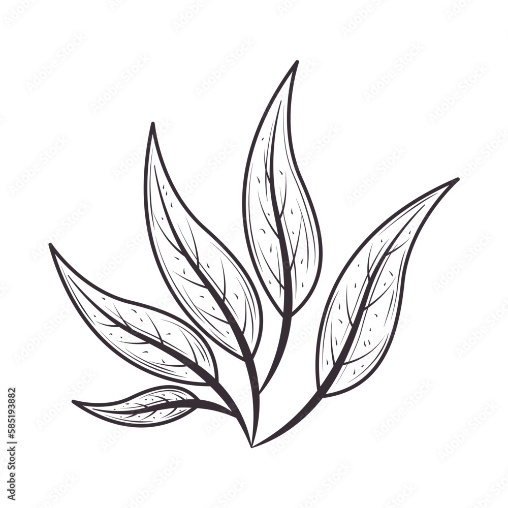 Sticker leaves foliage nature and botanical