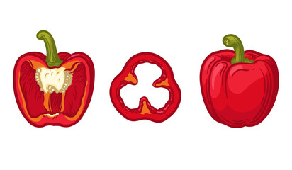 Red bell pepper, vector illustration. Whole, half and slice of pepper.