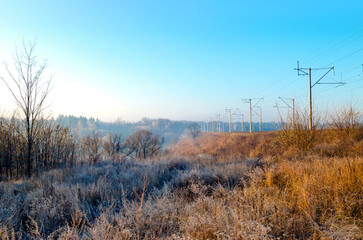 Frost on the grass of a meadow in the countryside