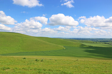 Hills of the Pewsey Vale in Wiltshire