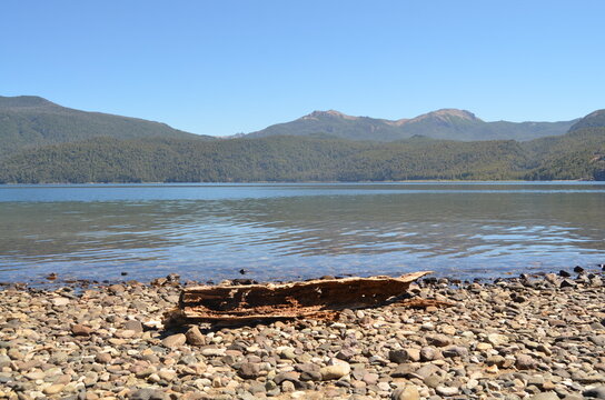 driftwood on the lake, patagonia