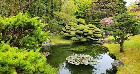 japanese garden pond