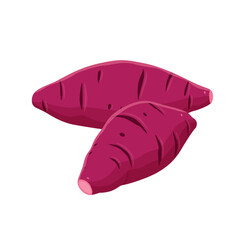 Illustration of whole sweet potato and sweet potato cut in half A smoked yamVector eps 10.