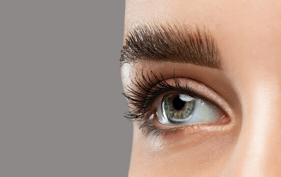 The make-up artist does Long-lasting styling of the eyebrows  and will color the eyebrows. Eyebrow lamination. Professional make-up and face care.