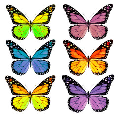 Fototapeta na wymiar Bright colored butterflies. Set, watercolor illustration.