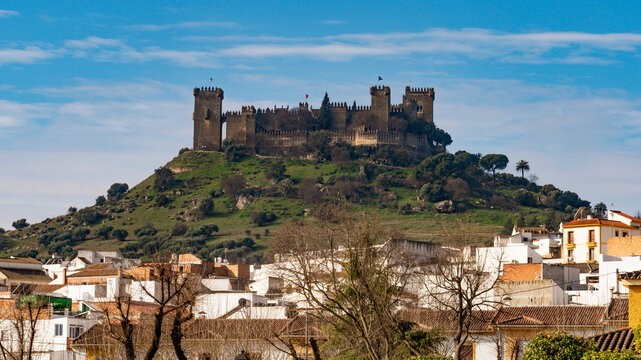 Medieval castle of Almod&oacute;var del R&iacute;o