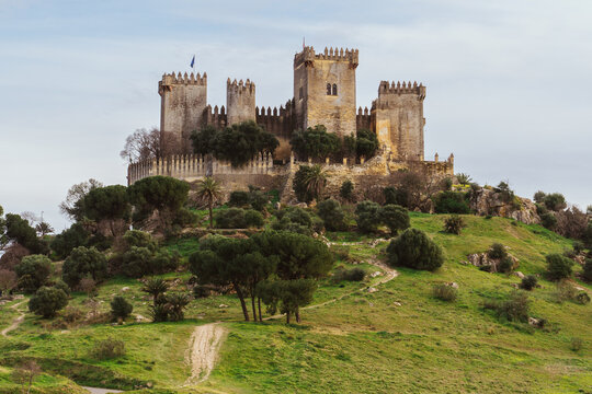 Medieval castle of Almod&oacute;var del R&iacute;o