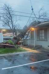 Santa Cruz Downtown, CA, tree falls destroying the roof of the house, after the bomb storm, gray...