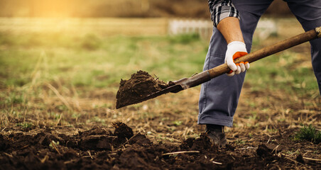 The gardener digs the garden with a shovel - obrazy, fototapety, plakaty