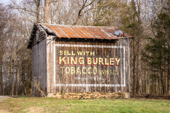 Coleridge, NC - USA: Hand-painted yellow, red, and white advertising sign on side of small wooden barn surrounded by woods. Sign takes up whole side of barn. Weathered, vertical boards.